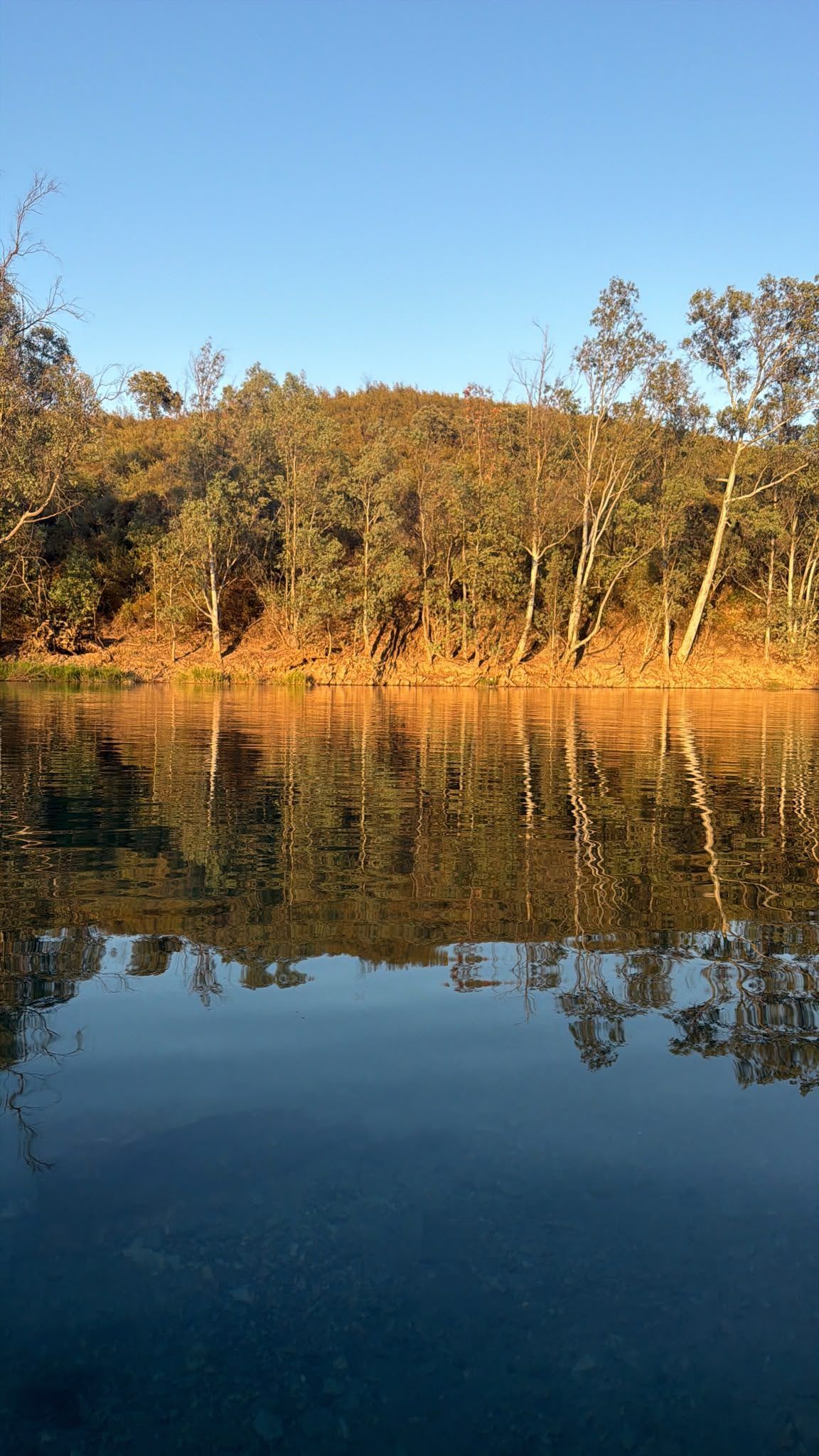 Embalse del agrio
